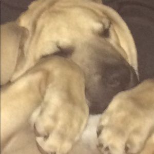 Meet your Posher, Lora